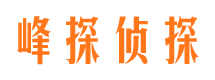 桑日找人公司